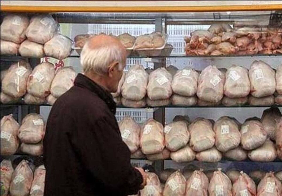 عجیب اما واقعی/  به دنبال گرانی مرغ/ تهرانی‌ها هر روز 120 تن جگر و سنگدان مرغ می‌خورند