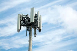 آغاز پاکسازی دکل های پایتخت