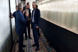  بزرگترین فرش دستباف تاریخ ایران بافته و رونمایی شد