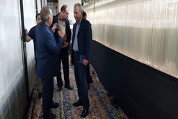  بزرگترین فرش دستباف تاریخ ایران بافته و رونمایی شد