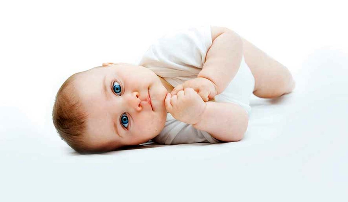 لشکر تپل مپل‌ها ؛ آرزویی که دنیا از آن می‌ترسد 