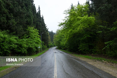 جنگل های عباس آباد