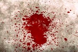 قتل با شلیک گلوله در نزاع خیابانی مشهد