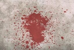 قتل با شلیک گلوله در نزاع خیابانی مشهد