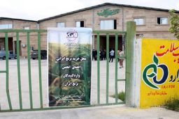 نشست هیات مدیره انجمن واردکنندگان برنج با رئیس جهاد کشاورزی مازندران
