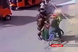 واکنش نیروهای طالبان نسبت به حمل پرچم افغانستان توسط شهروند افغانی