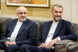 دیدار امیرعبداللهیان با نبیه‌بری