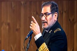 پاسخ کنایه‌آمیز شمخانی به اردوغان