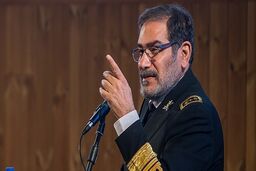 پاسخ کنایه‌آمیز شمخانی به اردوغان
