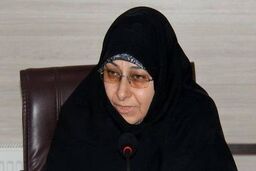 خزعلی: بزرگان و تصمیم‌گیران همه نظرات را بشنوند