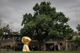 عکس / رونمایی از مجسمه ریشه ها و سنگ ها