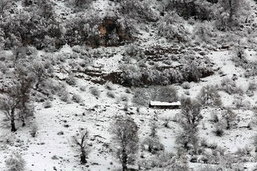 بارش برف بهاری در جنگل های هیرکانی