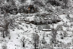 یخبندان در 25 استان