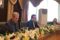 فیلم؛ عراقچی: حضور آمریکایی ها در مذاکرات در صورت برداشتن تحریم ها از نظر ما بلامانع است
