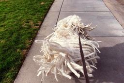 مارک زاکربرگ مالک فیس بوک  و پنحمین ثروتمند دنیاچگونه زندگی می کند؟