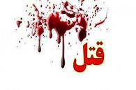 جزئیات قتل هولناک فرزند ۵ساله و مادرزن